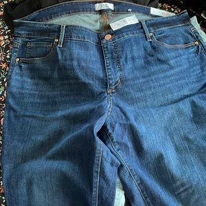 NWT Loft Plus Modern Skinny Jeans